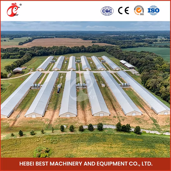 Système de contrôle de ventilation Bestchickencage Chine Système de contrôle de ventilation pour environnement de poulet moderne Usine ODM Contrôle climatique personnalisé pour serre