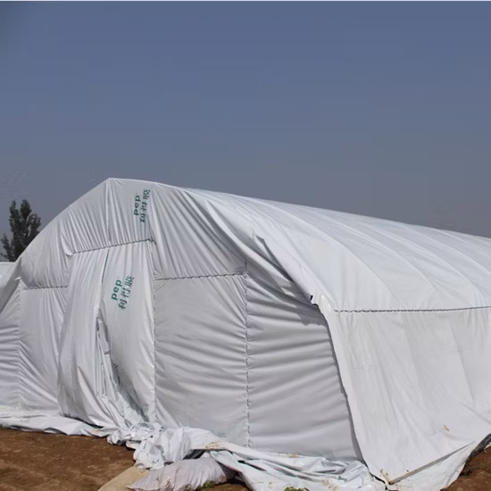 Serre commerciale de film PE de haute qualité pour les fruits